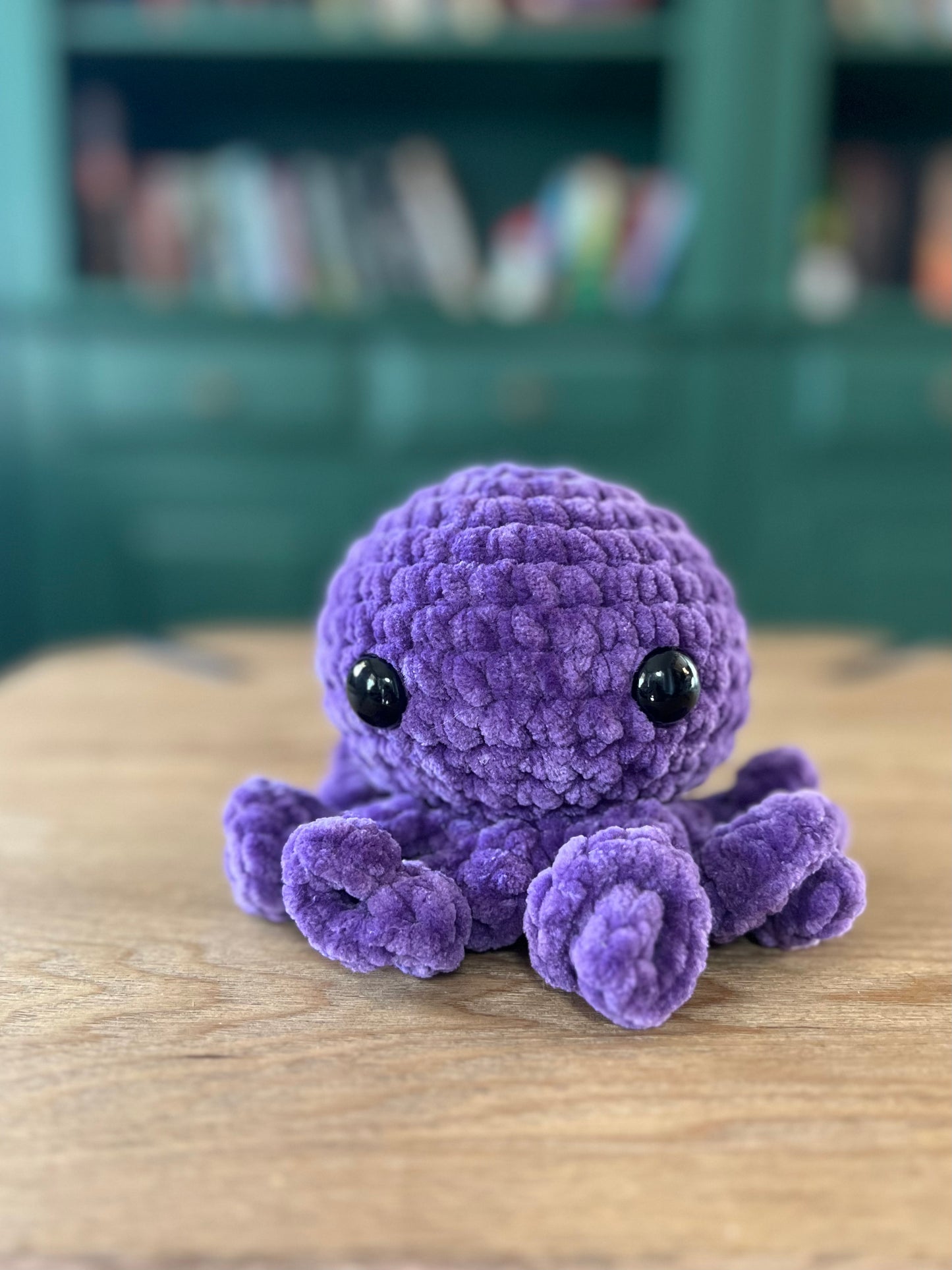 Cora the Mini Octo