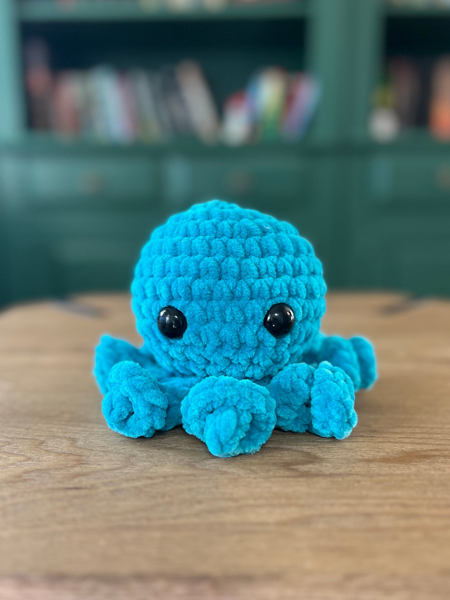 Cora the Mini Octo