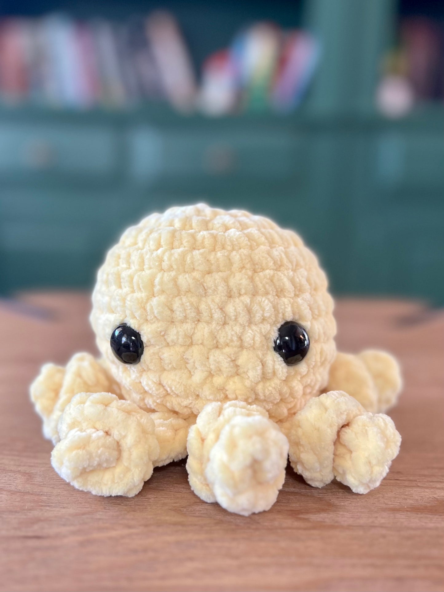 Cora the Mini Octo